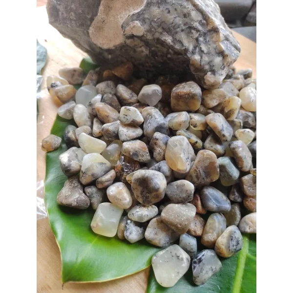 Pedra Ágata Dendrita ou Dendritica Rolada