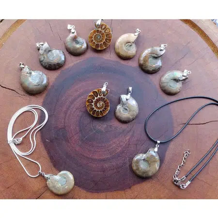 Colar de Amonite Pingente Para Colar Amonita Fóssil Natural Concha